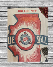 Load image into Gallery viewer, Blue Seal Illinois state feed sack flannel duster shirt